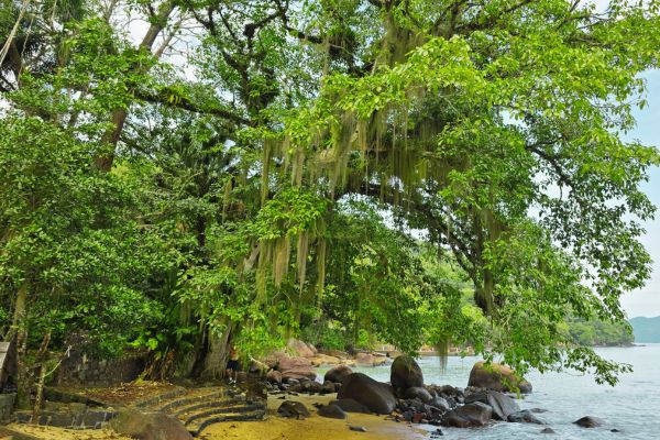 Trilha das 7 Praias, Ubatuba